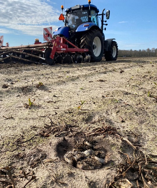 2021 04 16 kuikens1 600x500