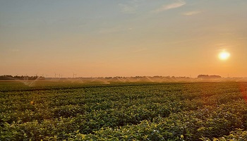 8-6-2021 Weer beregenen