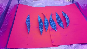 31-8-2021 Spuitdoppen testen, meten is weten ;)