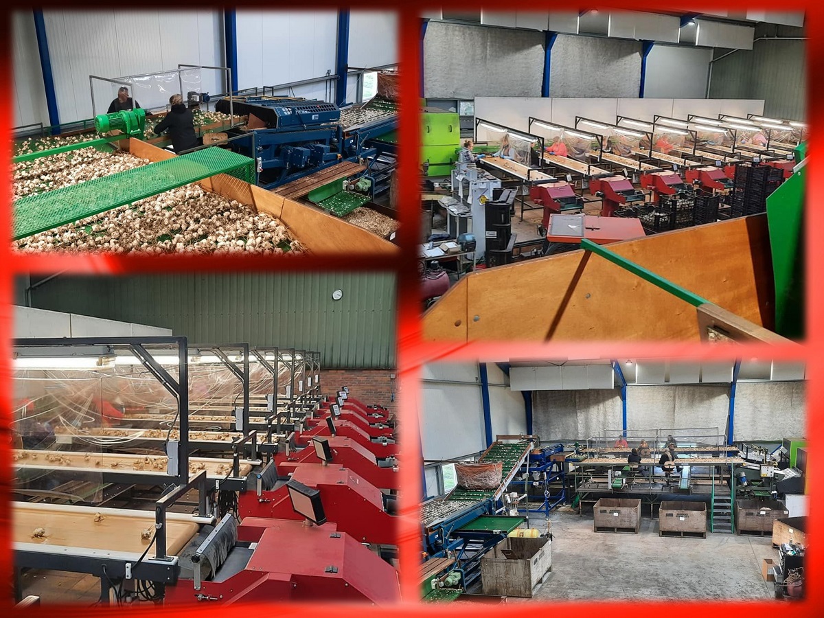 2021 11 01 collage weer los