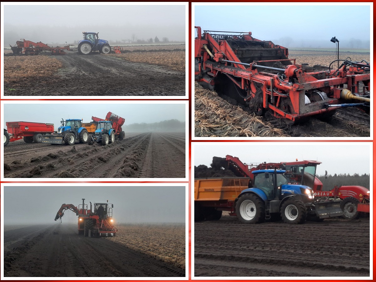 2022 01 15 collage valeriaan