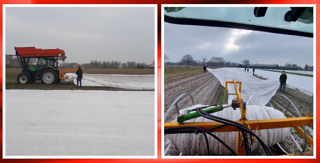 2022 03 29 collage doekleggen