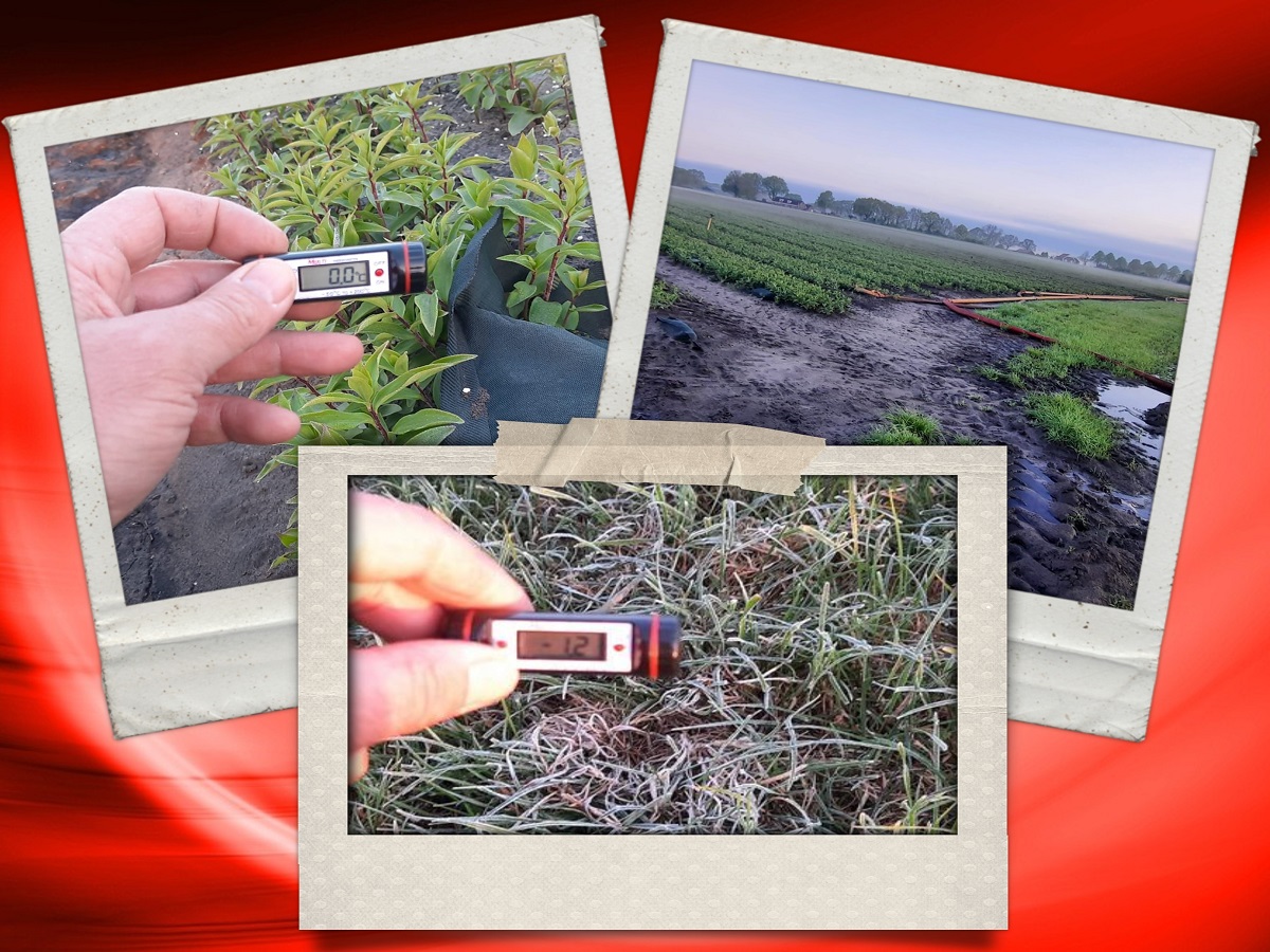 2022 04 28 collage koud