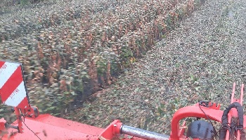 24-9-2022 Inkorten, de rem erop