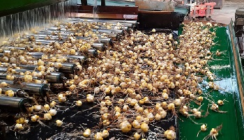 10-10-2022 Het begin is er