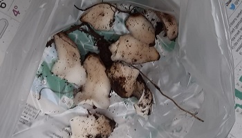 14-10-2022 Voorbereidingen