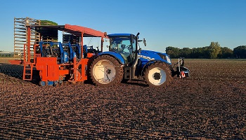 18-10-2022 Valeriaan planten