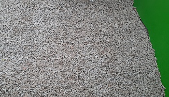 22-10-2022 Niet altijd chemie wat je ziet