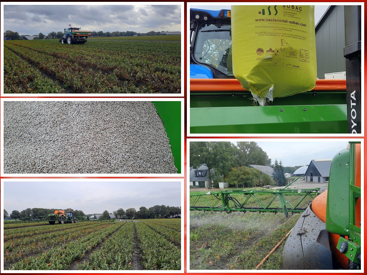 2022 10 22 collage bacterien