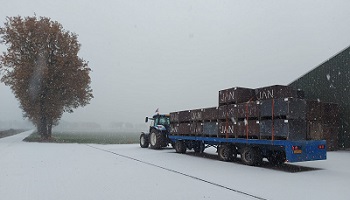 10-12-2022 Knetterdruk, want dr komt vorst aan!