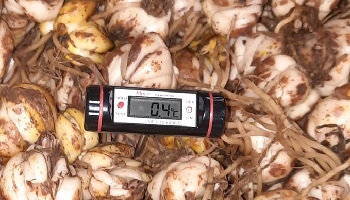 22-2-2023 Wat we nu zoal doen