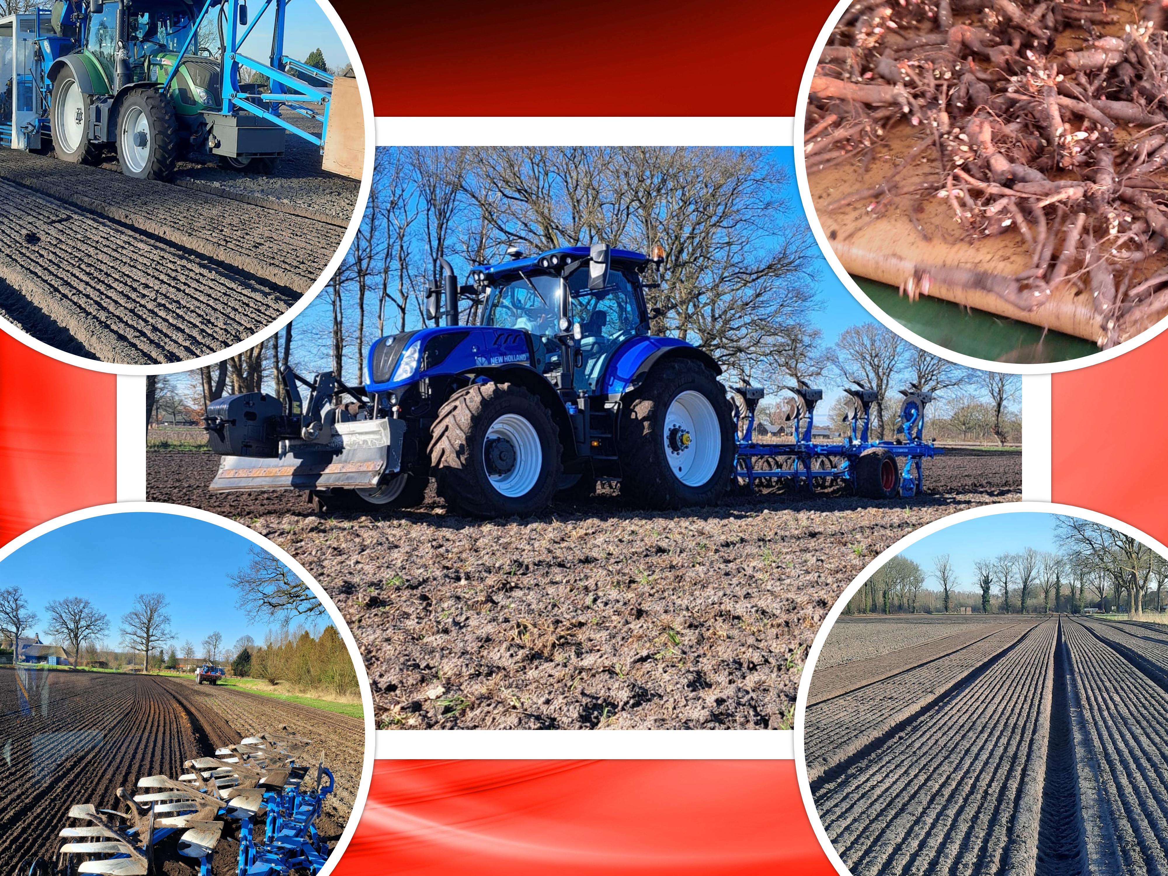 2023 03 01 collage 2