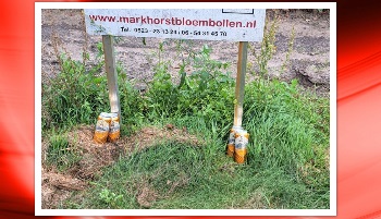 19-9-2023 Kordate mannen