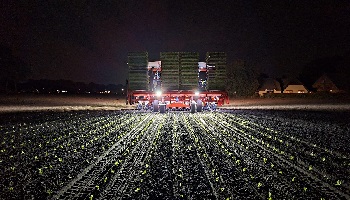 9-10-2023 Valeriaan planten