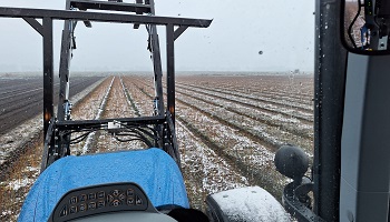 30-11-2023 Weertje...