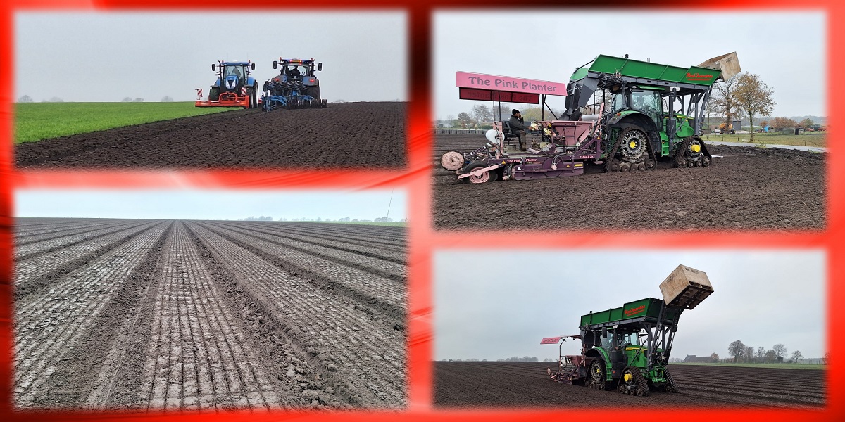 16-12-2023 Tulpen planten