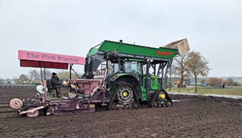 16-12-2023 Tulpen planten