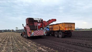 17-2-2024 valeriaan oogst