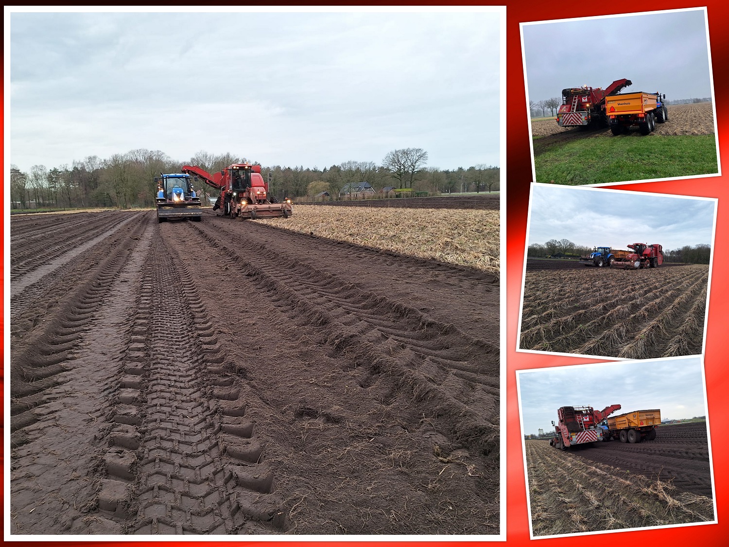 17-2-2024 valeriaan oogst