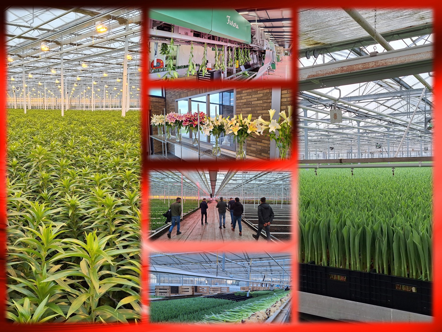 23-2-2024 Dagje kijken