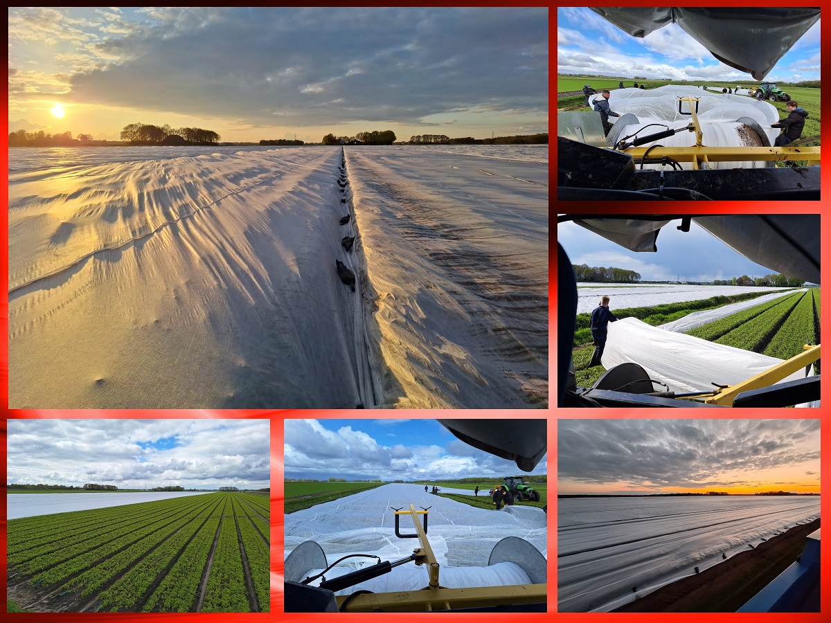 21-04-2024  een hele klus, dat doek leggen