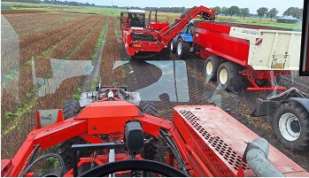 27-10-2024 Gladiolen rooien