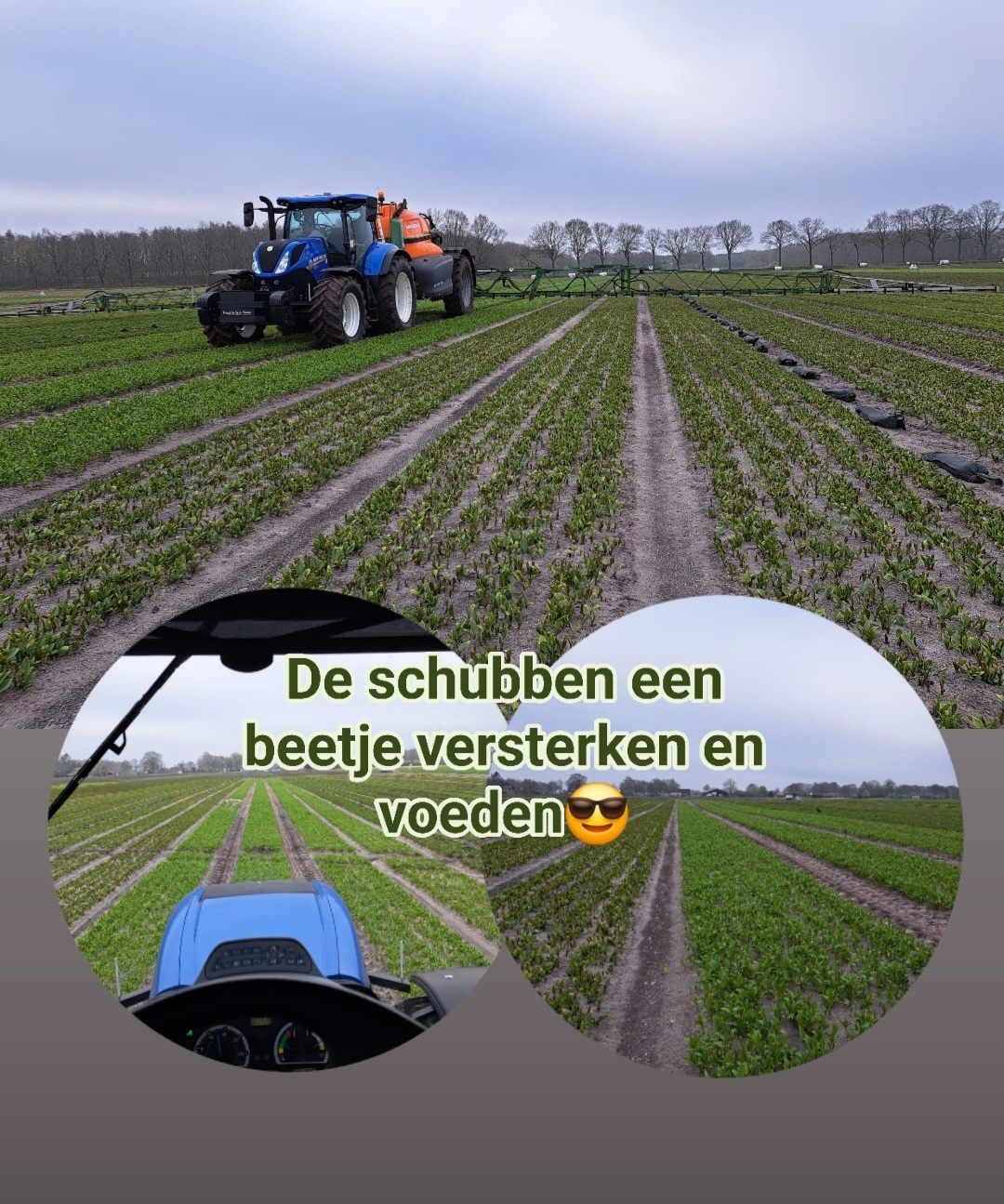 07-04-2025 schubben verzorgen