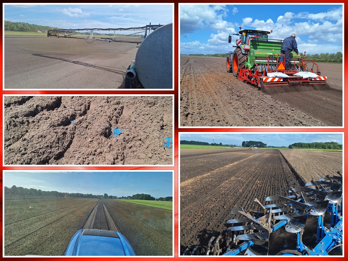 22-05-2025 1e jaars plantuitjes