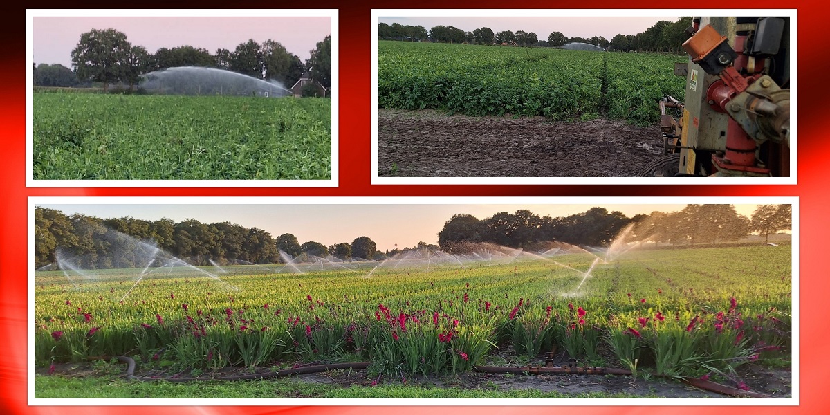 17-8-2025 we moeten ook nog beregenen natuurlijk
