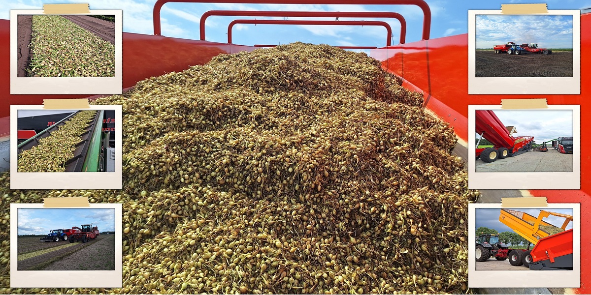 17-08-2025: plantuitjes laden