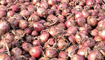 28-9-2025 greep uit de werkzaamheden