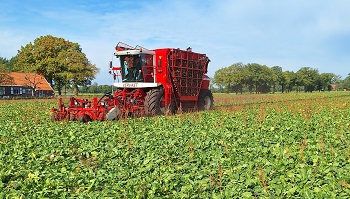 7-10-2025  Dikke bak met bieten!