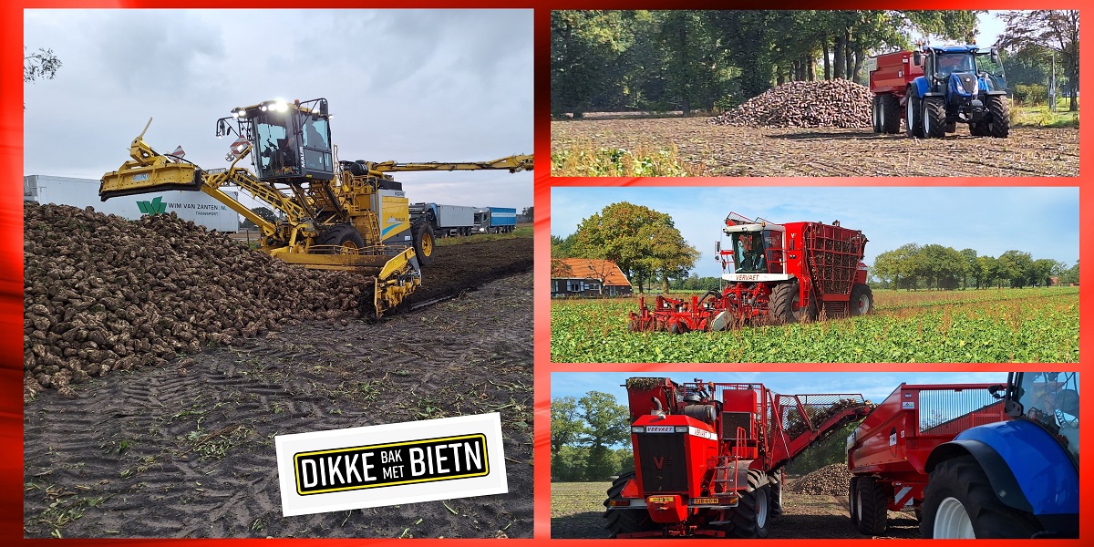 7-10-2025  Dikke bak met bieten!