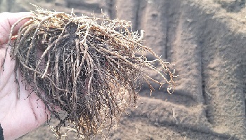 30-11-2025 Helemaal 'zen'...:)