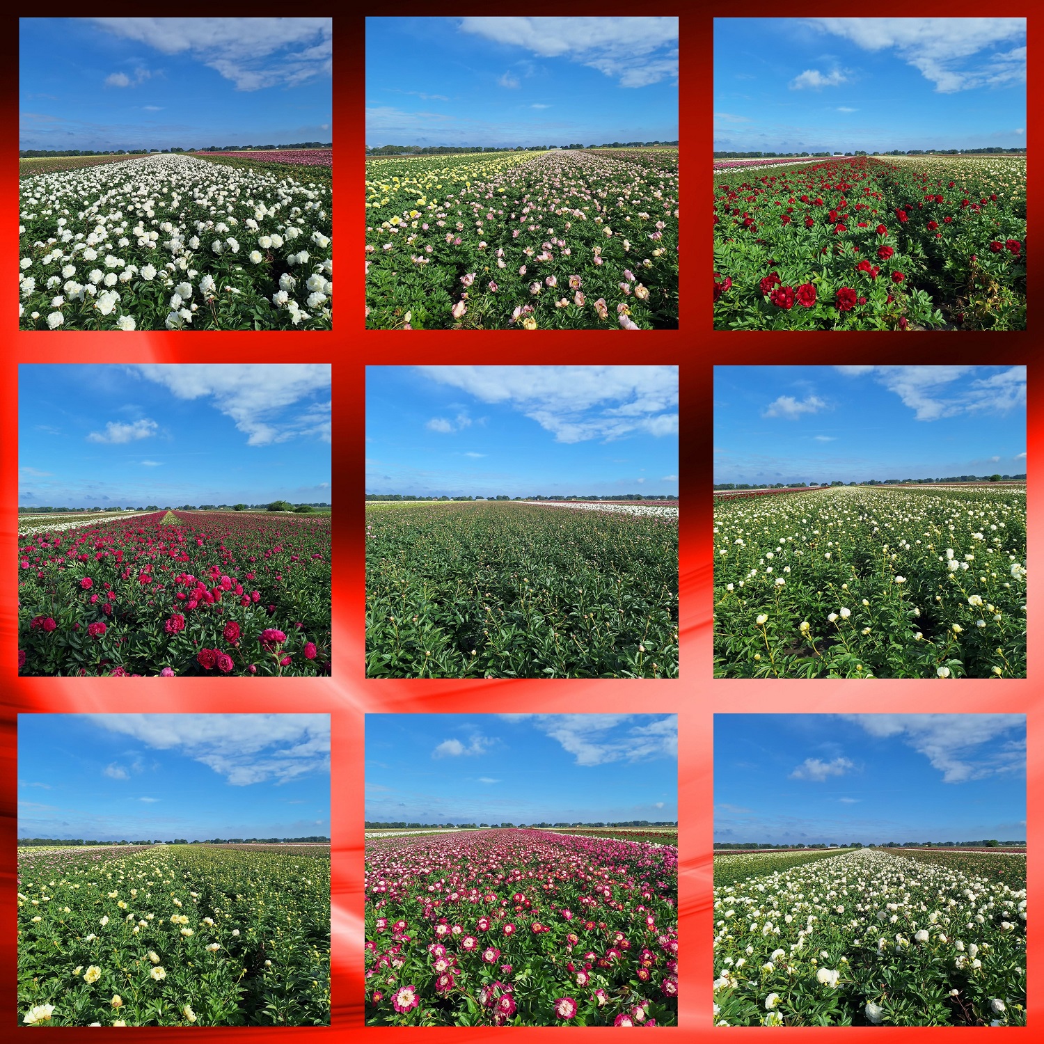 Wow.... hoe mooi!