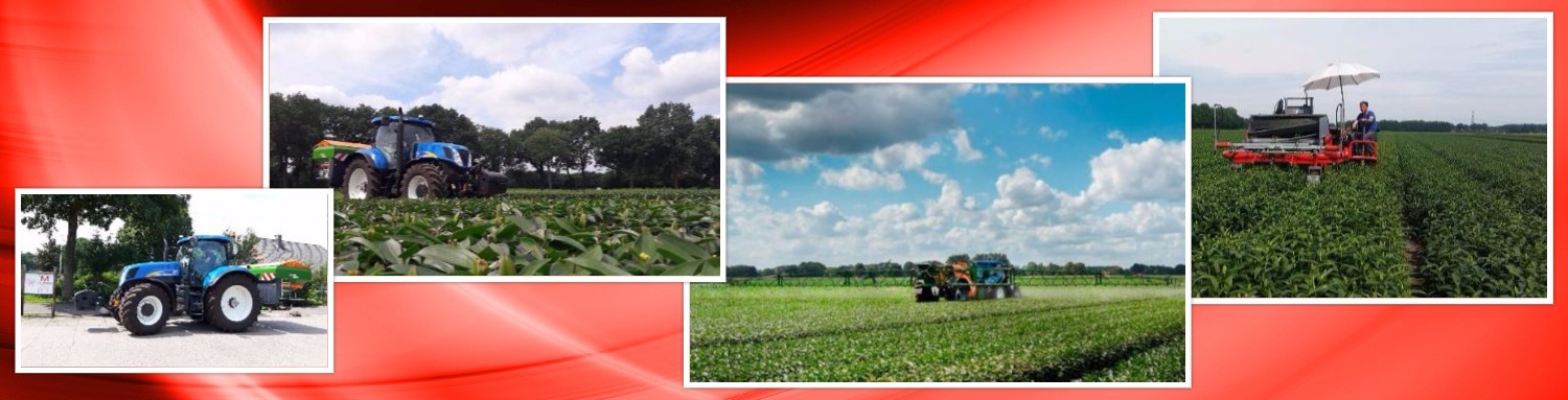 collage 2016 08 11 kunstm gewb kopp