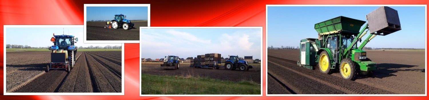 collage 2016 08 11 planten