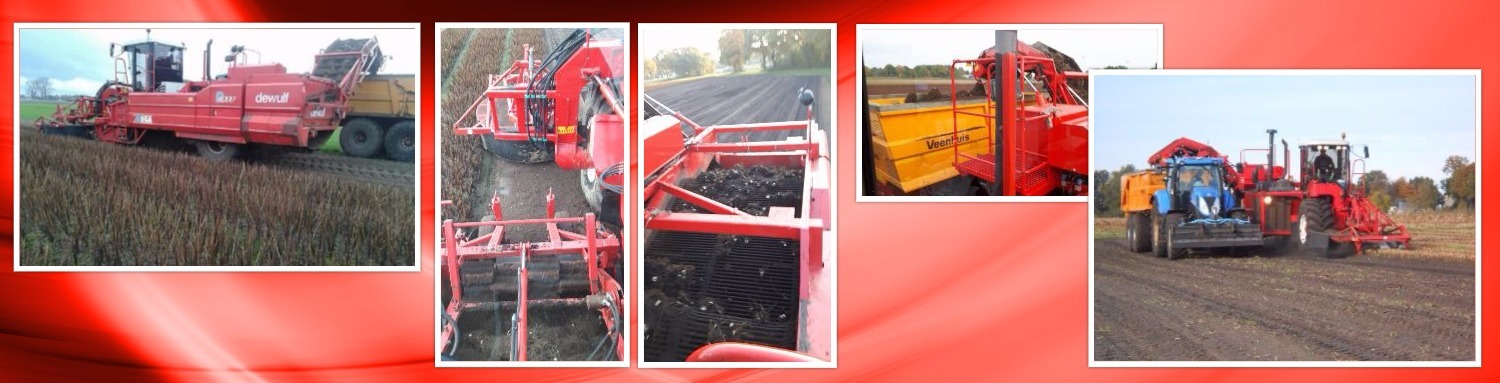 collage 2016 08 11 rooien