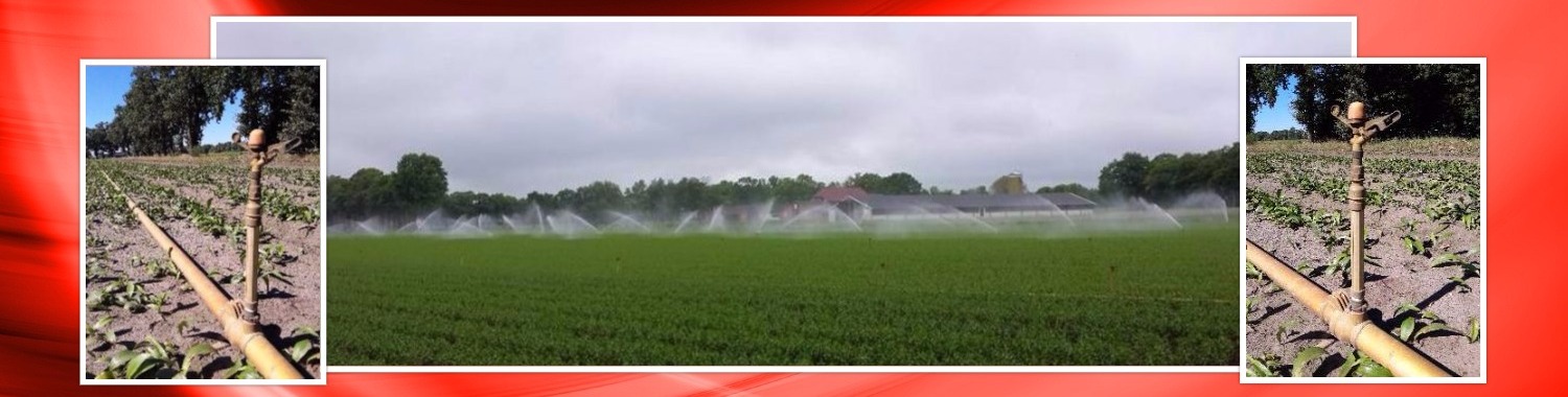 collage 2016 08 17 vaste bereg