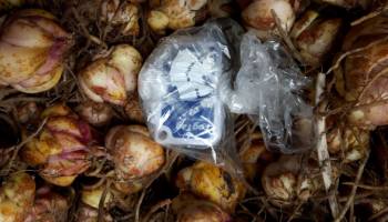 15-2-2014 Leliebollen "koken"