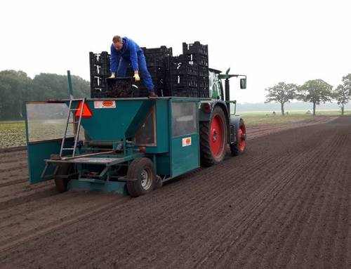 25-10-2016 Pioenrozen geplant