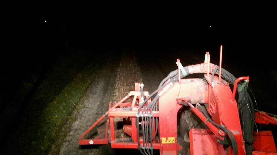 21-12-2016 De laatste bollen zijn gerooid !