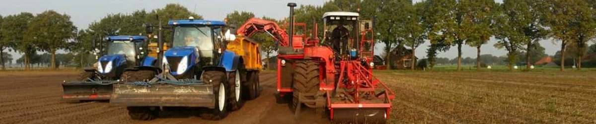 19-10-2017 De lelieoogst is begonnen!